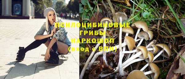 mix Белокуриха