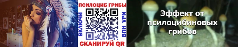 Псилоцибиновые грибы Psilocybine cubensis  даркнет сайт  Дагестанские Огни 